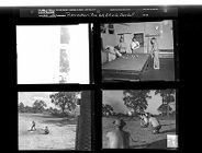 Recreation: Bocce Ball; Billiards; Baseball (4 Negatives) 1950s, undated [Sleeve 6, Folder a, Box 22]